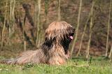 BRIARD 074